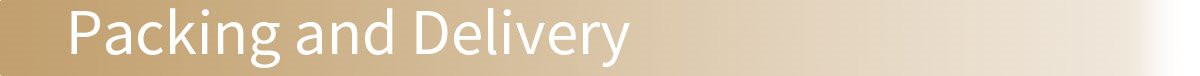SeparatorTitle_Packing and Delivery
